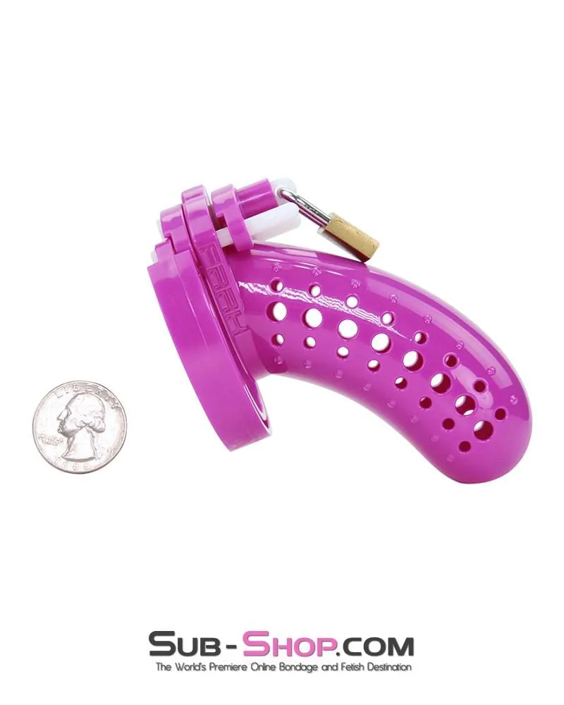 1603AR      The Stockade Purple Cage Male Chastity Device - MEGA Deal