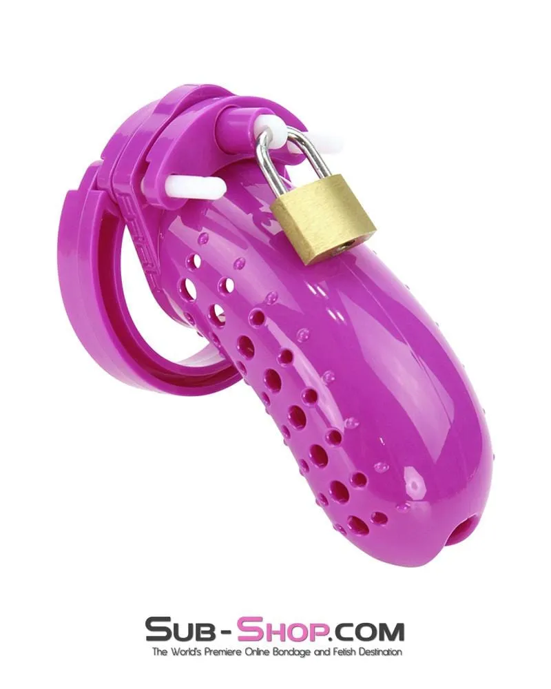 1603AR      The Stockade Purple Cage Male Chastity Device - MEGA Deal