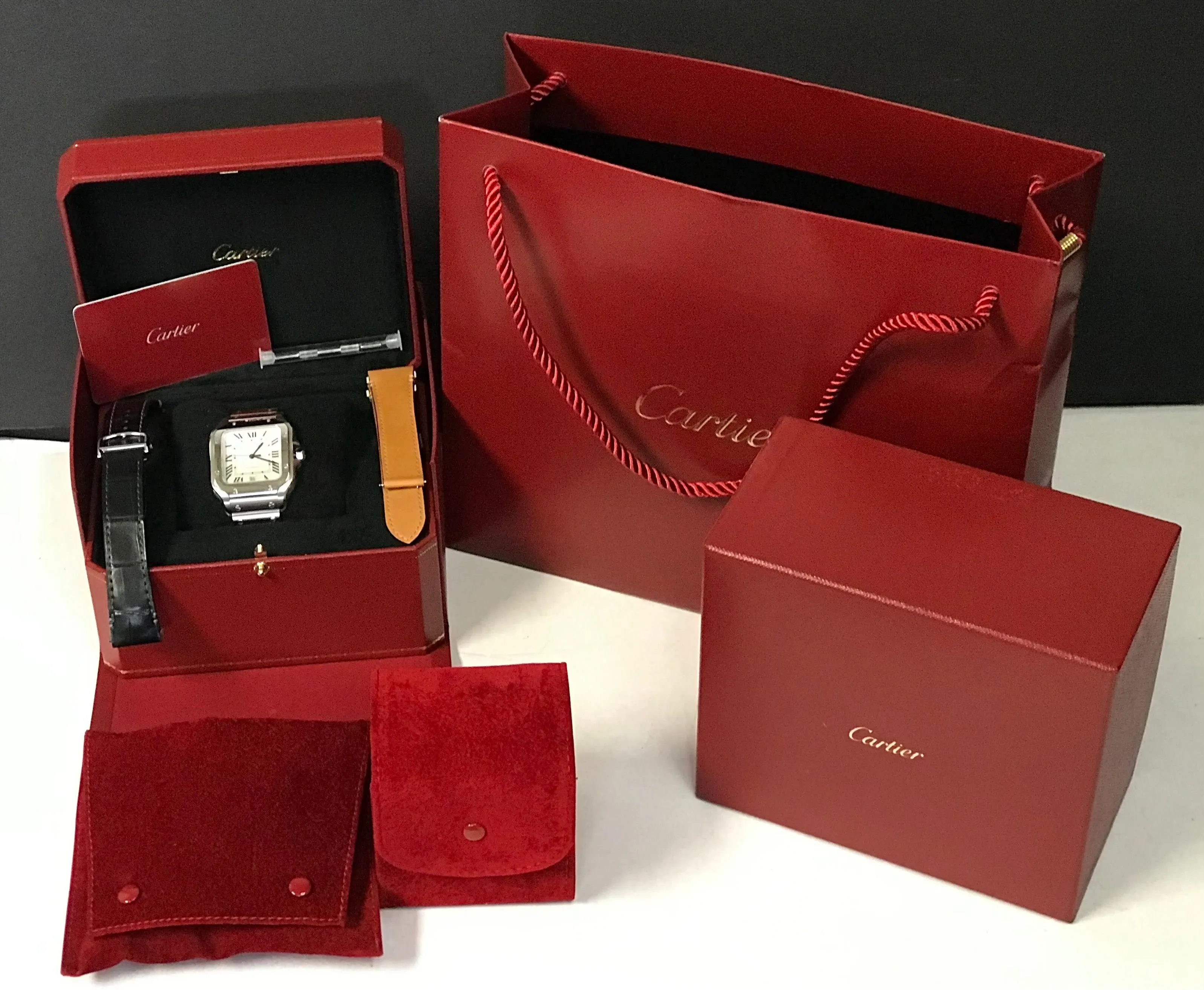 Cartier Santos Large WSSA0018 Silvered Opaline Dial Automatic Watch